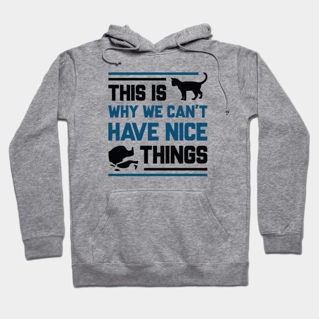 This Is Why We Can't Have Nice Things Hoodie by CreativeJourney